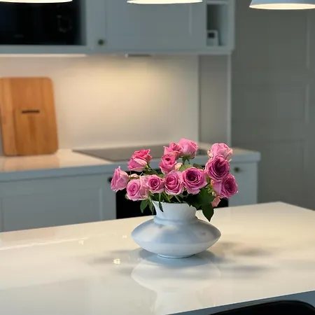 Alicia, Oma 85 M2 Talo, Latausasema, Ilmastointi