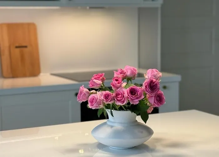 Alicia, Oma 85 M2 Talo, Ilmastointi