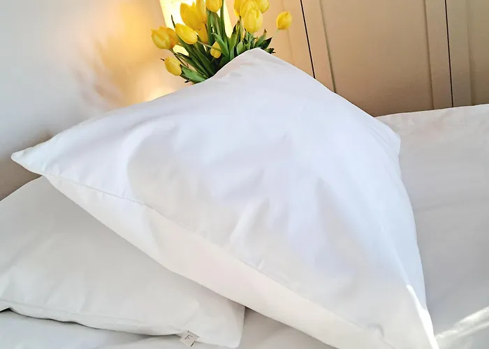 Alicia, Oma 85 M2 Talo, Ilmastointi * קוקולה